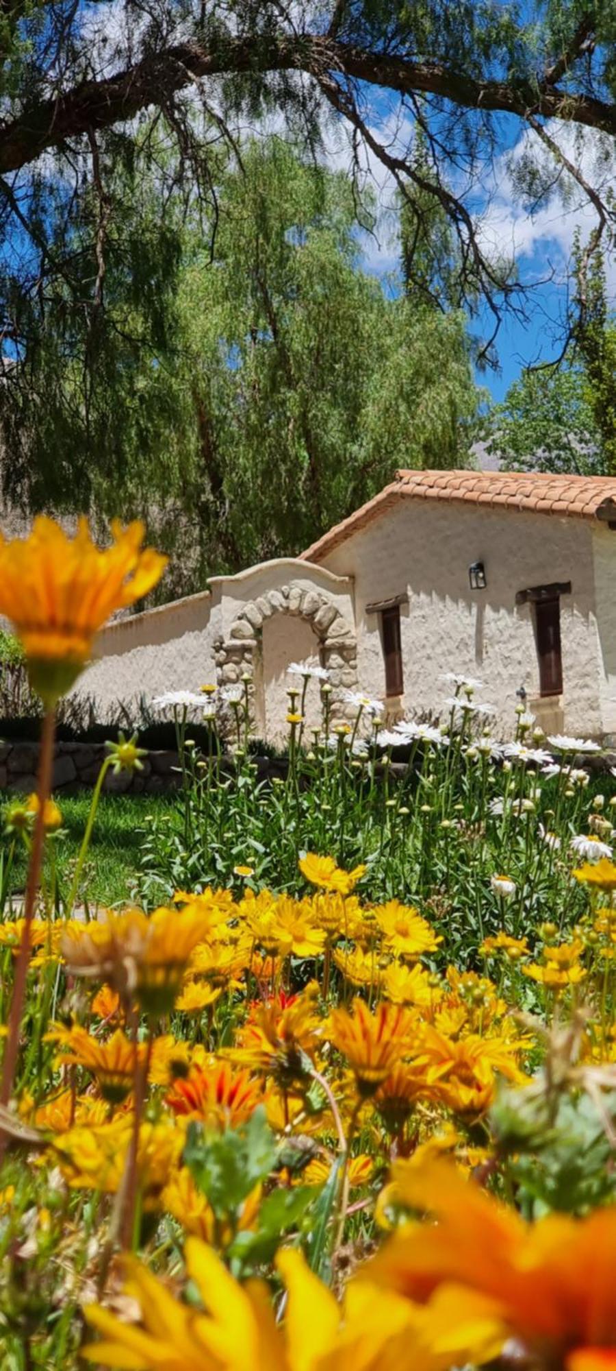 El Molino De Cachi