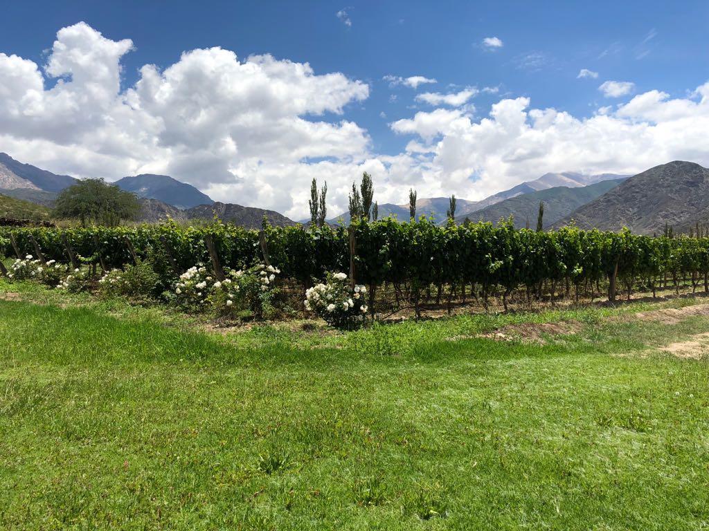 El Molino De Holiday home