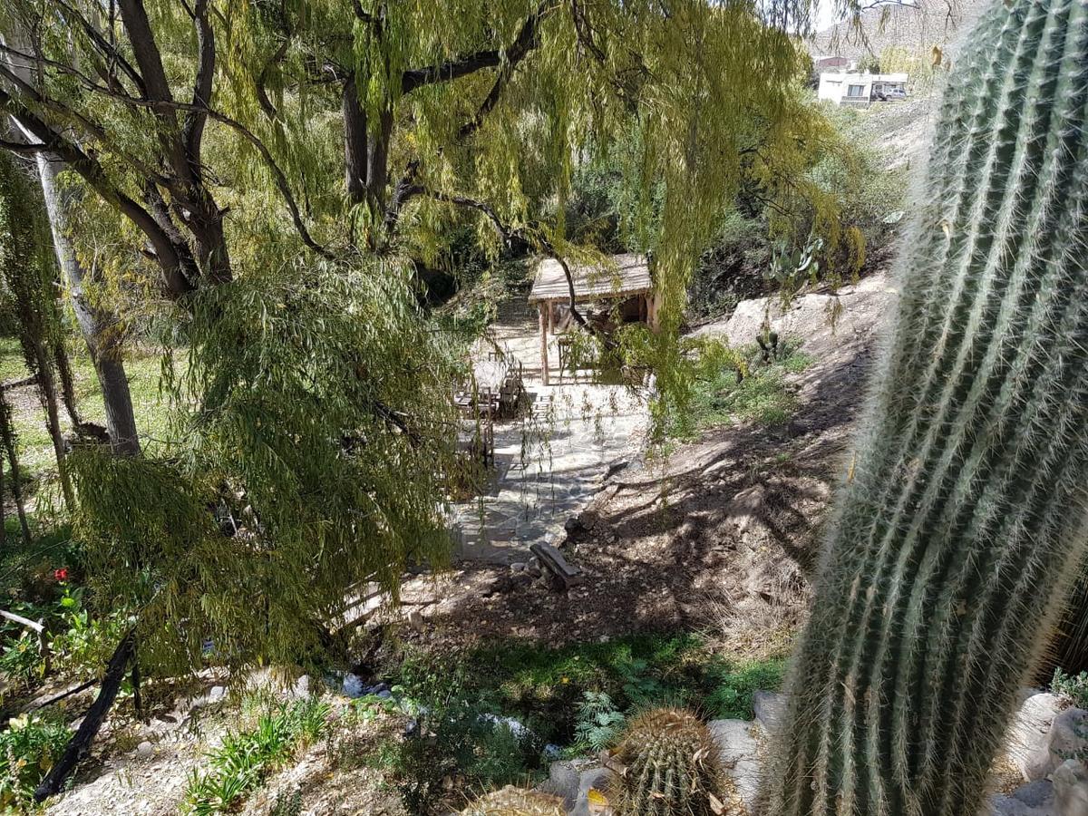 El Molino De *